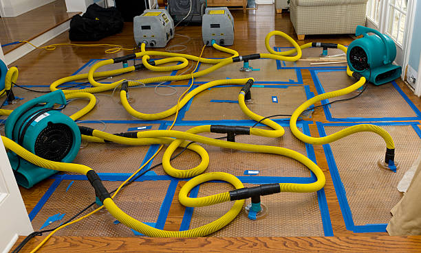 Professional Sewage Cleanup technician working in Iola, WI
